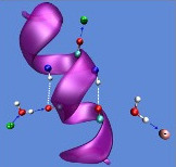 Solvation