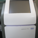 realt-time-pcr